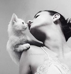 建材家居精品策劃文案(中英雙語)