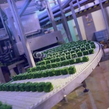 中小食品企業如何進行自我營銷診斷